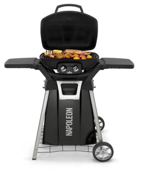 Napoleon Gasgrill TravelQ PRO285 mit Gestell