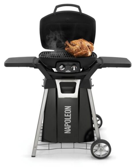 Napoleon Gasgrill TravelQ PRO285 mit Gestell