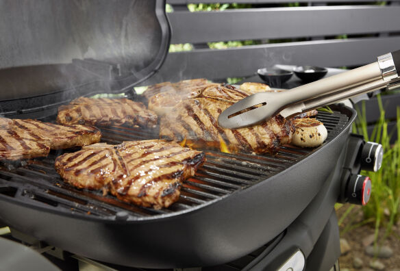 Weber Gasgrill Q 2800N+ mit Premium-Rollwagen