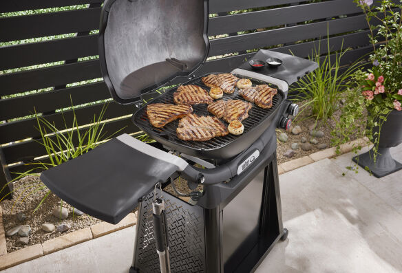 Weber Gasgrill Q 2800N+ mit Premium-Rollwagen